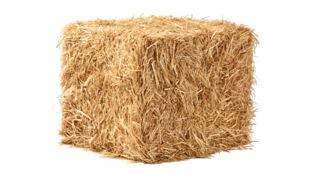 square hay bale, compact straw bundle, isolated on white background