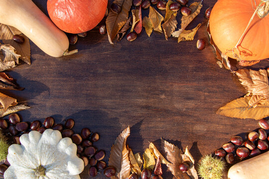 Arri&egrave;re-plan automne - fruits et l&eacute;gumes d'automne