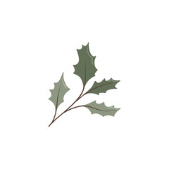 Fototapeta premium branch with leaves, transparent background, isolate, png