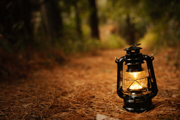 Autumn forest, lantern light, camping