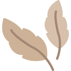 Feathers Icon