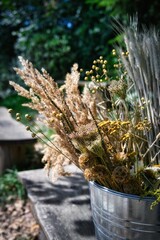 A bouquet of dried rural plants.