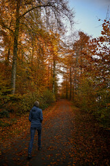 Woman walking uphill along a forest path covered with autumn leaves, surrounded by tall golden trees and soft afternoon sunlight