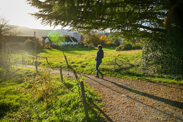 Person walking on a sunny countryside path near Uster, surrounded by green fields, autumn trees, and distant houses under warm afternoon light