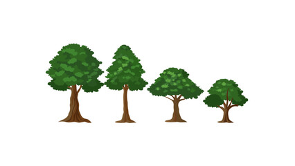 Harmony of Four Trees: A harmonious quartet of trees stands in a row, each exhibiting unique features, celebrating the biodiversity of a natural ecosystem.