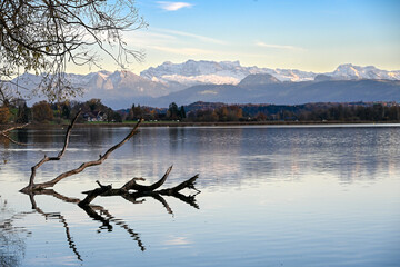 Calm view of Greifensee Lake in Uster with snow-covered Alps in the background and a tree branch reflected on the still water