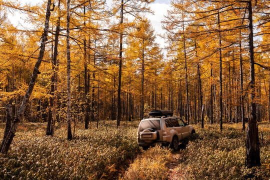 Japanese SUV on an autumn road in a wild forest