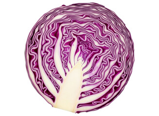 Obraz premium Vibrant cross section of fresh red cabbage showcasing its beautiful layered structure