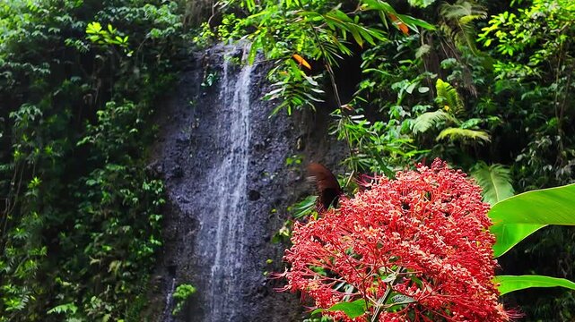 majestic waterfall flowing gently through lush jungle, where delicate butterflies enhance scenery, creating peaceful retreat in beautiful Bali landscape, slow motion