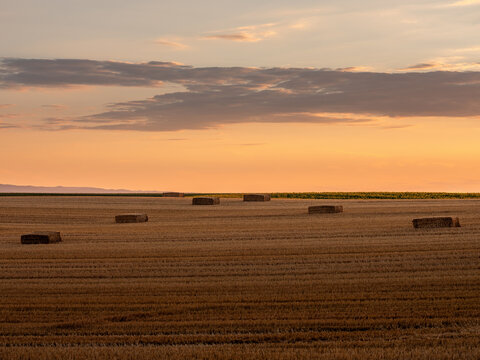 Golden harvest field with stacked hay bales at sunset