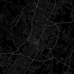 Austin City Map Elegant black on gray wall decor featuring sleek urban grid lines in refined monochrome tones.