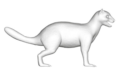 Black and white polygonal mongoose drawing with open mouth in side view, geometric vector illustration, clean white background. This artistic animal portrait demonstrates digital design techniques.