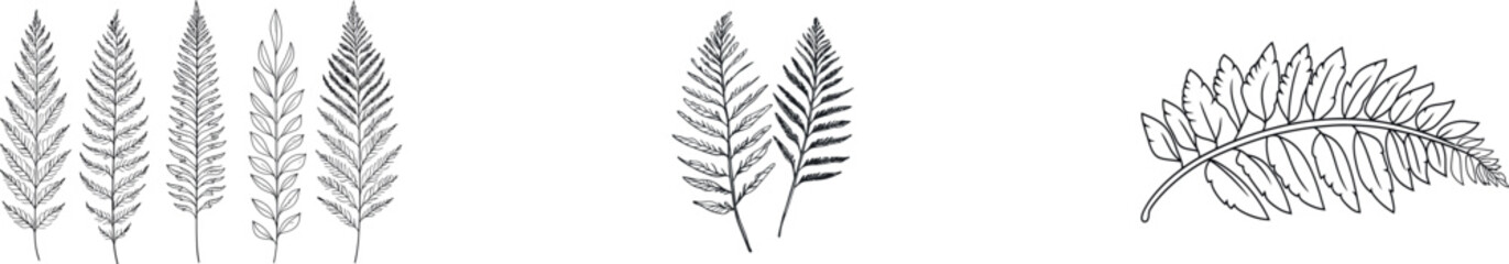 A minimalist botanical garden scene featuring a fern leaf is illustrated through a continuous one-line hand drawing