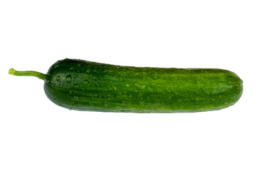 close up of green cucumber in white background with clipping path. 