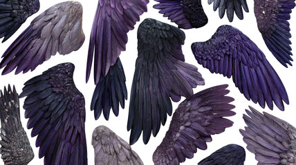 Title: Beautiful Array of Purple Angel Wings in Various Shapes Isolated on White Background