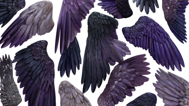 Title: Beautiful Array of Purple Angel Wings in Various Shapes Isolated on White Background