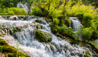 Cascade of a fresh creek in Plitvice Lakes National Park, Croatia. Natural reserve with crystal clear water, pristine wildlife in majestic scenery. World famous tourist attraction and iconic sight.