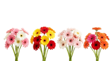 Four vibrant bouquets of gerbera daisies in assorted colors isolated on transparent background