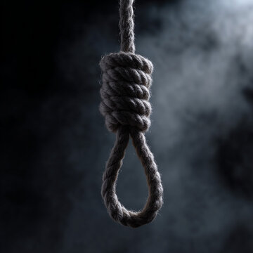  A hangmans noose hanging.