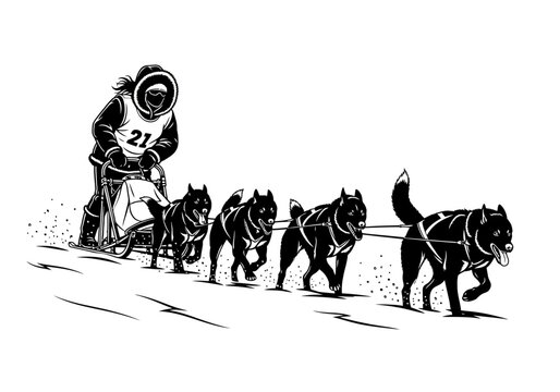 A person guiding four dogs on a leash in a simple illustration from a side viewpoint