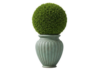 Oval shaped green topiary plant in a decorative urn isolated on transparent background