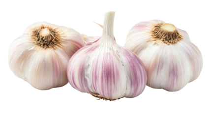 Three Garlic Bulbs with Purple Stripes isolated on a transparent background