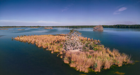 Panorama of lake in Barycz Valley, Poland, with cormorant-covered tree island in foreground and bird islands in background