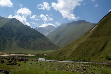 Georgian mointains