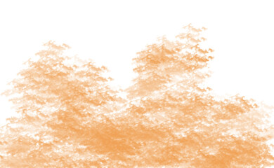 Realistic Transparent Smoke PNG Overlay | Abstract Fog Effect for Design and Photo Editing