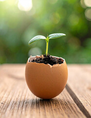 A tiny sprout emerges from the egg