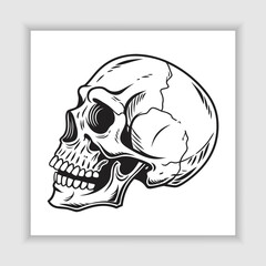 Human skull vector illustration