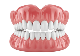 Realistic 3D rendered human dental model with perfect white teeth and healthy pink gums, representing ideal oral health and hygiene concepts, isolated on transparent background.