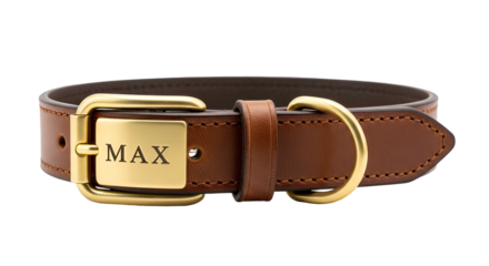 Premium leather pet accessory features engraved identification plate and brass hardware displayed against a dark background