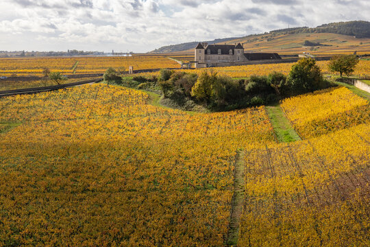  vignoble, vignes aux couleurs chaudes de l'automne en C&ocirc;te d'Or en Bourgogne, vignoble de la c&ocirc;te de Nuits , grands crus que Vougeot, Clos-Vougeot ou Clos-de-Vougeot