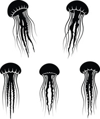Five Black Jellyfish Silhouettes on White Background