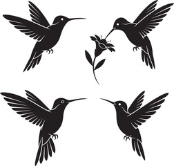 Four black hummingbird silhouettes in flight around a lily flower