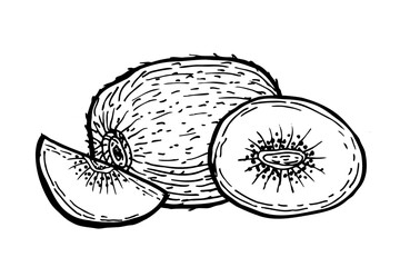 Hand drawn outline kiwi fruit set. Outline composition with whole and halves, cutting fruit. Tropical exotic food in linear vintage style. Kiwi vector illustration.
