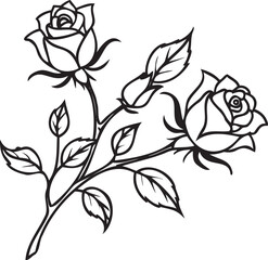 Rose Branch Pattern with Buds and Leaves – Vintage Floral Illustration