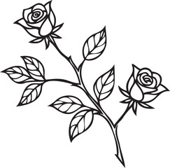 Rose Branch Pattern with Buds and Leaves – Minimalist Botanical Illustration Vector
