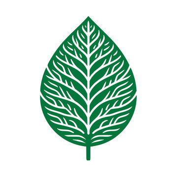 Leaf with Vector Lines : A minimalistic portrayal of a vibrant green leaf, meticulously crafted with elegant vector lines. It embodies growth and freshness, capturing the essence of natural serenity.