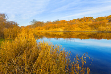 calm river with forest on coast under blue cloudy sky, beautiful autumn seasonal outdoor scene