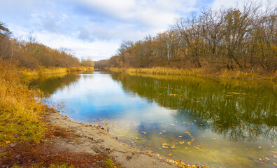 calm river with forest on coast under blue cloudy sky, beautiful autumn seasonal outdoor scene