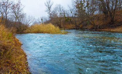 calm river with forest on coast,  autumn outdoor landscape