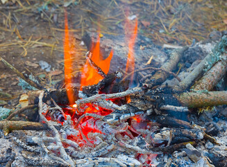 closeup camp fire on the forest glade