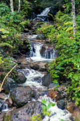 waterfall in the forest