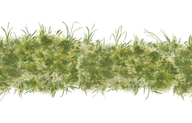 Endless Meadow Grass Texture watercolor isolated. Spring green seamless border with greenery. Botanical repeated foliage background for textile, design farmhouse style, scrapbooking, packaging.