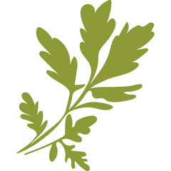 Green Parsley Leaf Stem Silhouette Isolated On White Background Flat Graphic Design Herb And Spice Ingredient For Cooking And Culinary Use