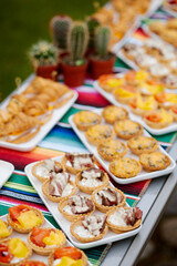 Authentic delicious Mexican outdoor snacks