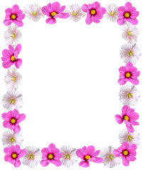 Bright Floral Border With Pink Cosmos And White Flowers, Romantic Botanical Frame For Invitations, Greeting Cards, Posters, And Print Design