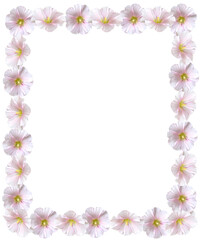 Fototapeta premium Delicate Floral Frame With Soft Pink Flowers On Transparent Background, Elegant Botanical Border For Invitations, Greeting Cards, Or Wedding Design